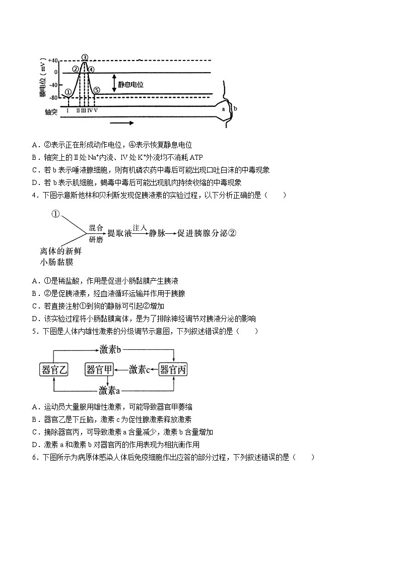 2024长沙雅礼中学高二上学期期中考试生物试卷含答案第2页