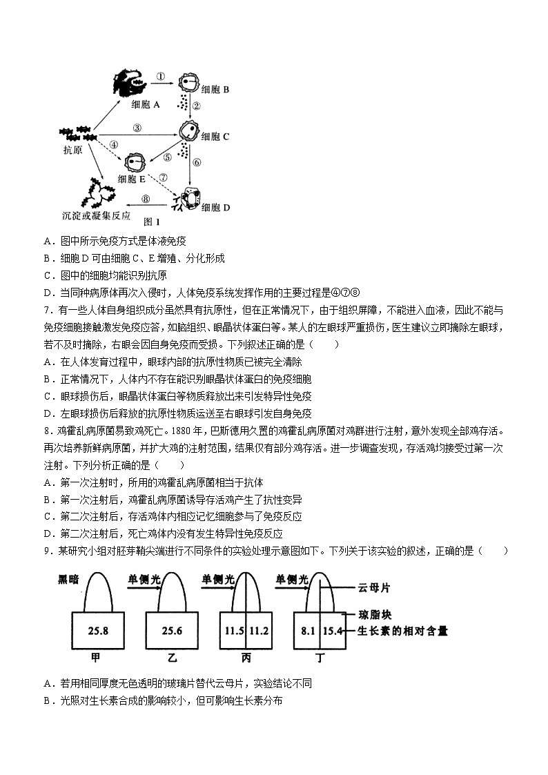 2024长沙雅礼中学高二上学期期中考试生物试卷含答案第3页