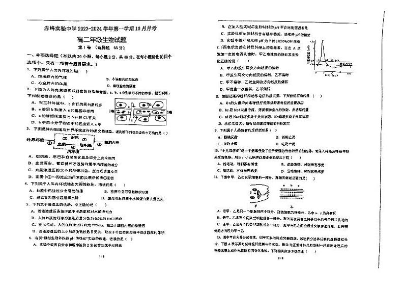 2024赤峰实验中学高二上学期10月月考生物试题扫描版含答案第1页