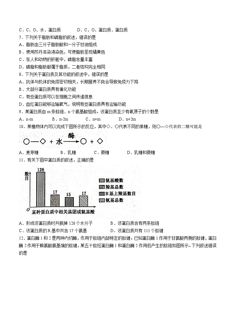 湖北省十堰市示范高中教联体测评联盟2023-2024学年高一上学期11月联考生物试题（Word版附解析）02