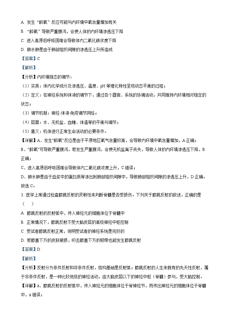 四川省绵阳南山中学实验学校2023-2024学年高二上学期11月期中生物试题（Word版附解析）02