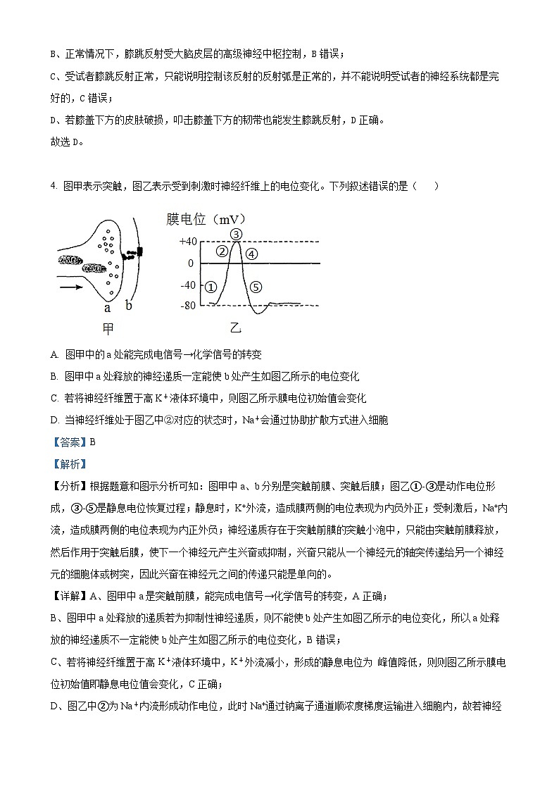 四川省绵阳南山中学实验学校2023-2024学年高二上学期11月期中生物试题（Word版附解析）03