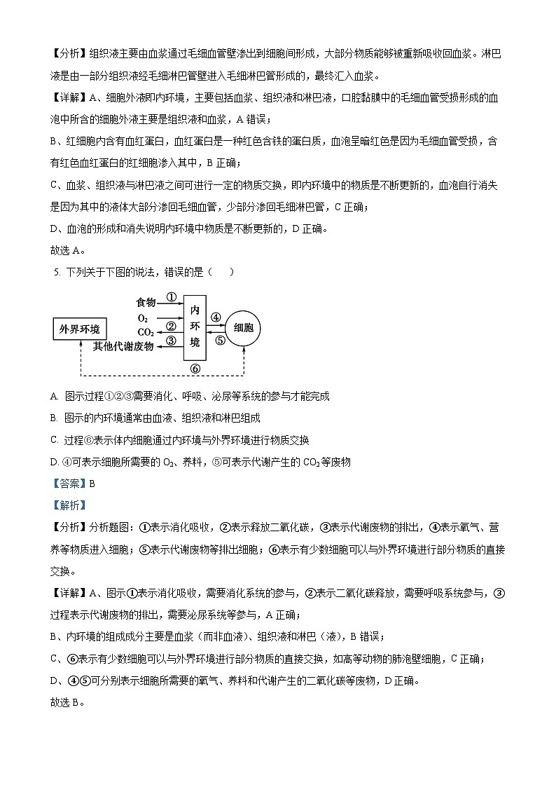 内蒙古包头市铁路第一中学2023-2024学年高二上学期第一次月考生物试题含解析第3页