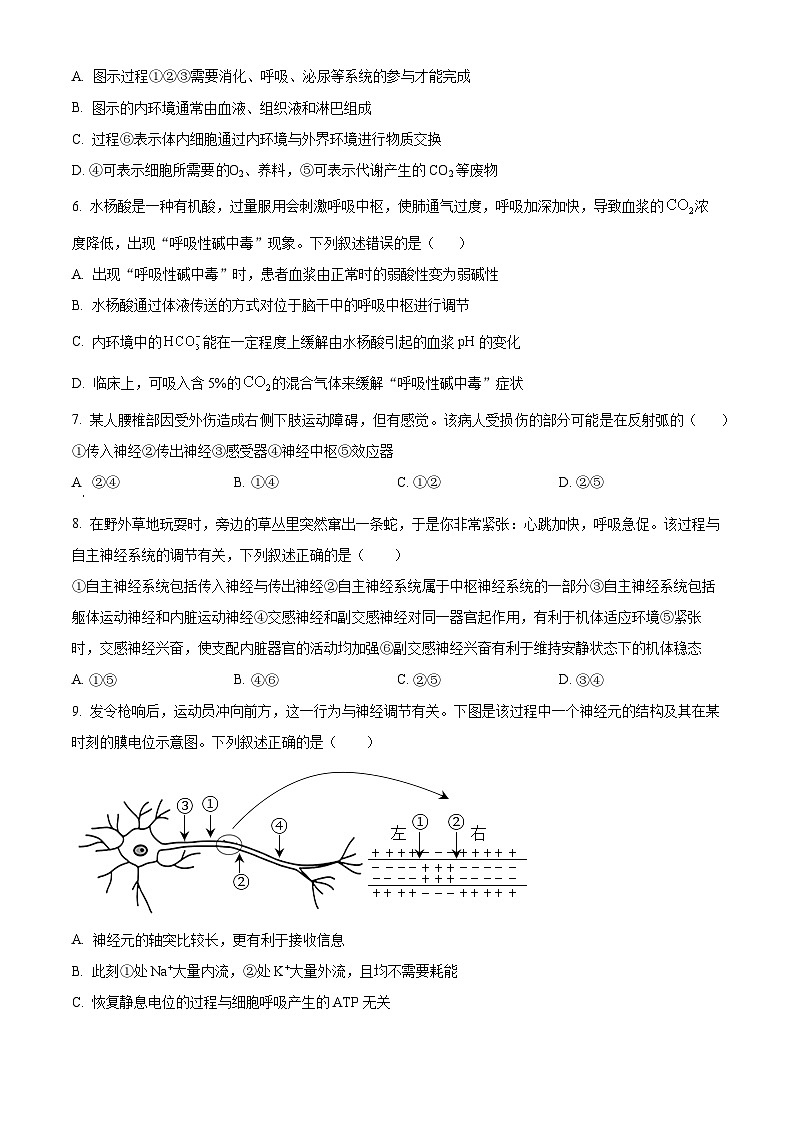 内蒙古包头市铁路第一中学2023-2024学年高二上学期第一次月考生物试题（原卷版）第2页