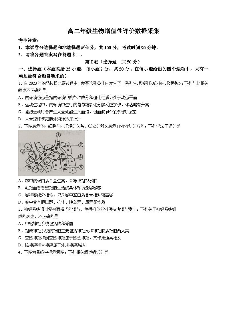 2024呼和浩特一中高二上学期期中生物试题含答案01