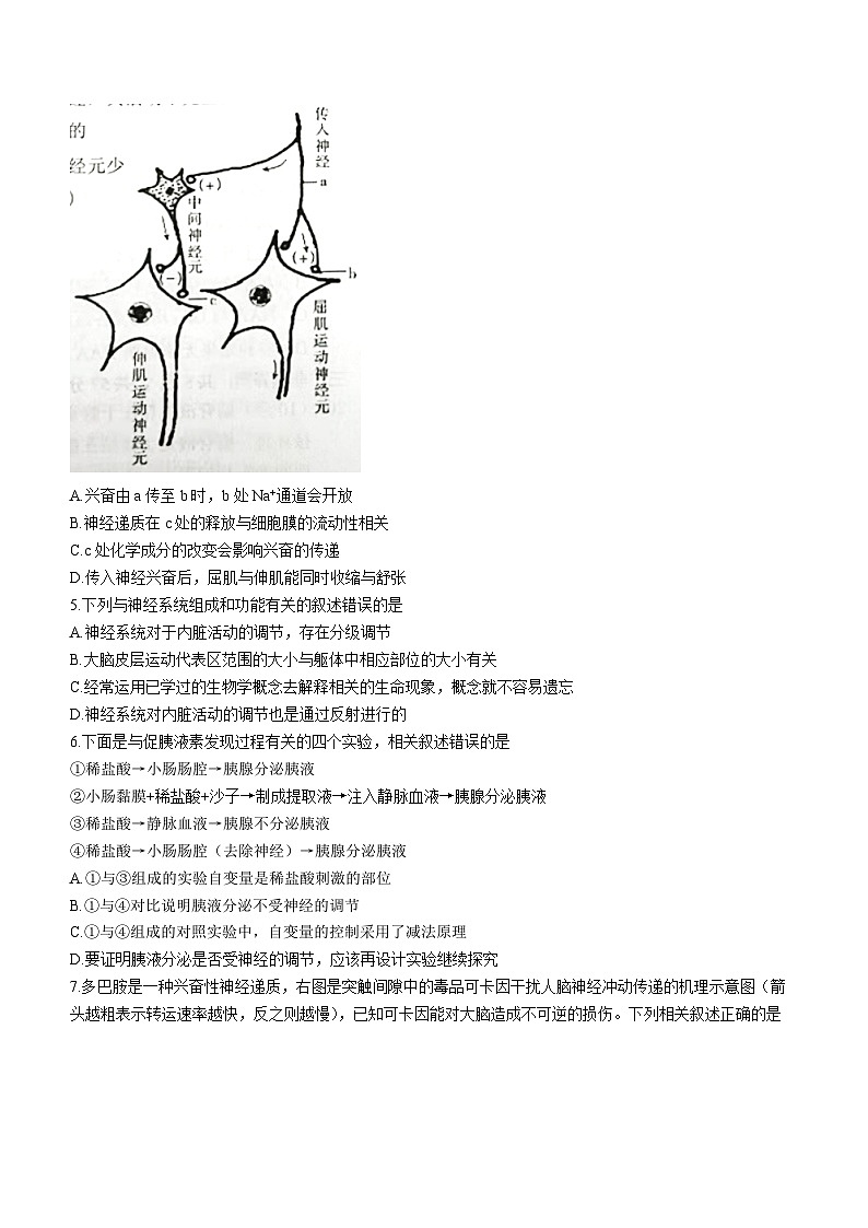 2024常州金坛区高二上学期期中生物试题无答案02
