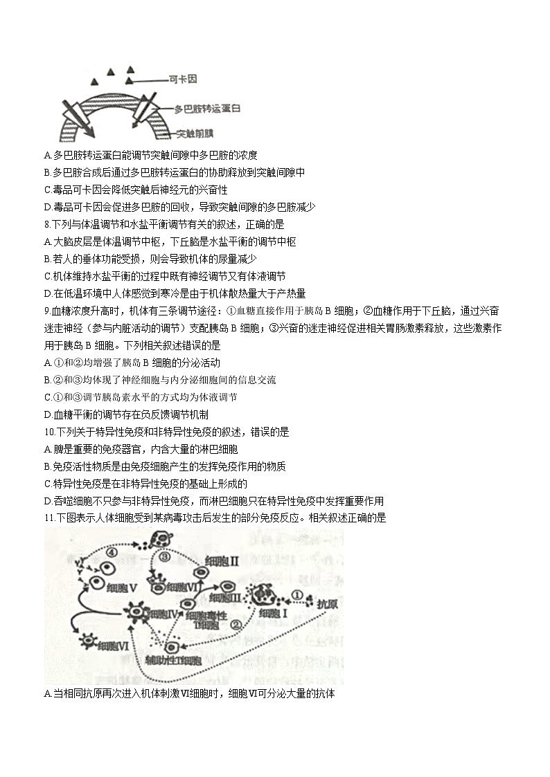 2024常州金坛区高二上学期期中生物试题无答案03