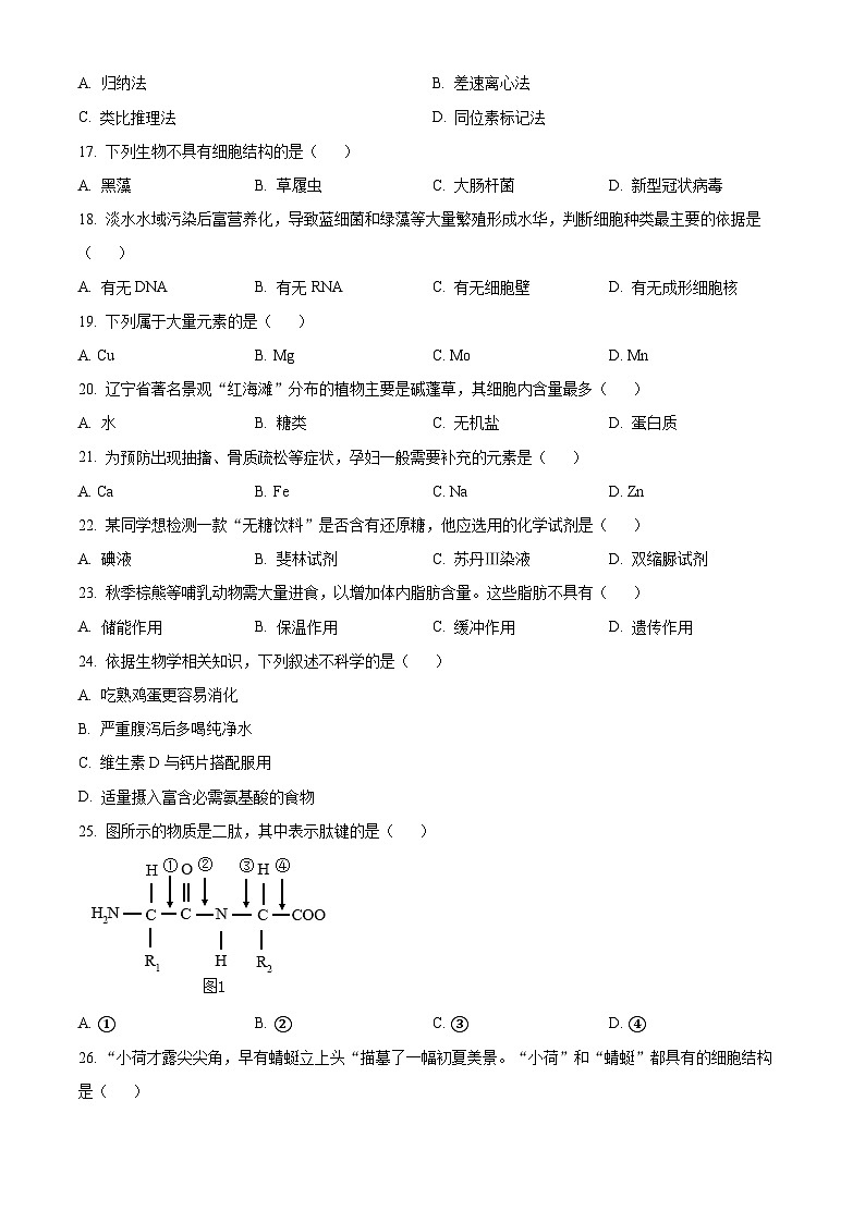 2024回族自治区银川西夏区育才中学高一上学期11月期中生物试题含解析03