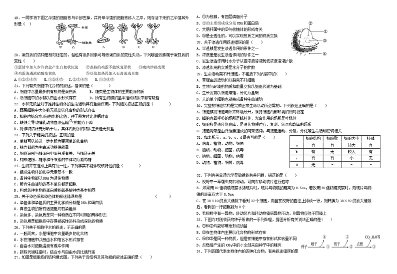 2023回族自治区石嘴山平罗中学高一上学期11月期中生物试题无答案02