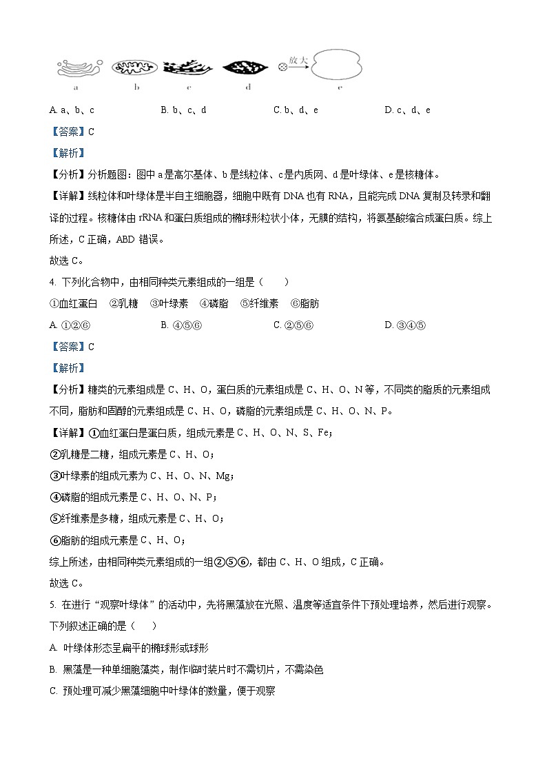 浙江省杭州学军中学2023-2024学年高一上学期期中生物试题（Word版附解析）02