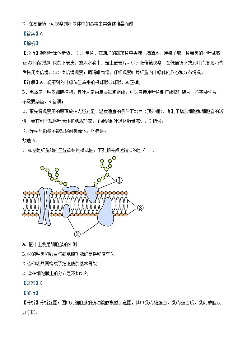 浙江省杭州学军中学2023-2024学年高一上学期期中生物试题（Word版附解析）03