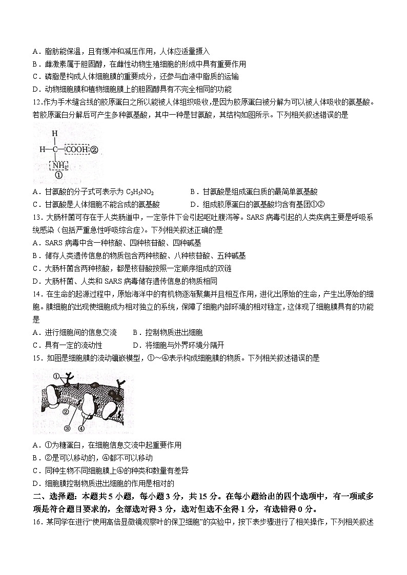 安徽省滁州市九校联盟2023-2024学年高一上学期11月期中生物试题（Word版附答案）03