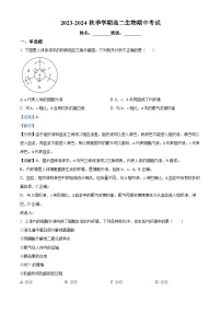 北京市怀柔区青苗学校2023-2024学年高二上学期期中生物试题（Word版附解析）