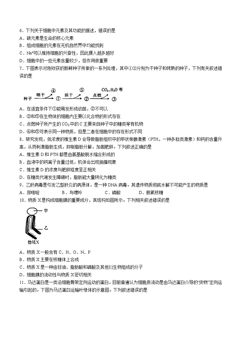 河北省沧衡八校联盟2023-2024学年高一上学期11月期中生物试题（Word版附答案）02