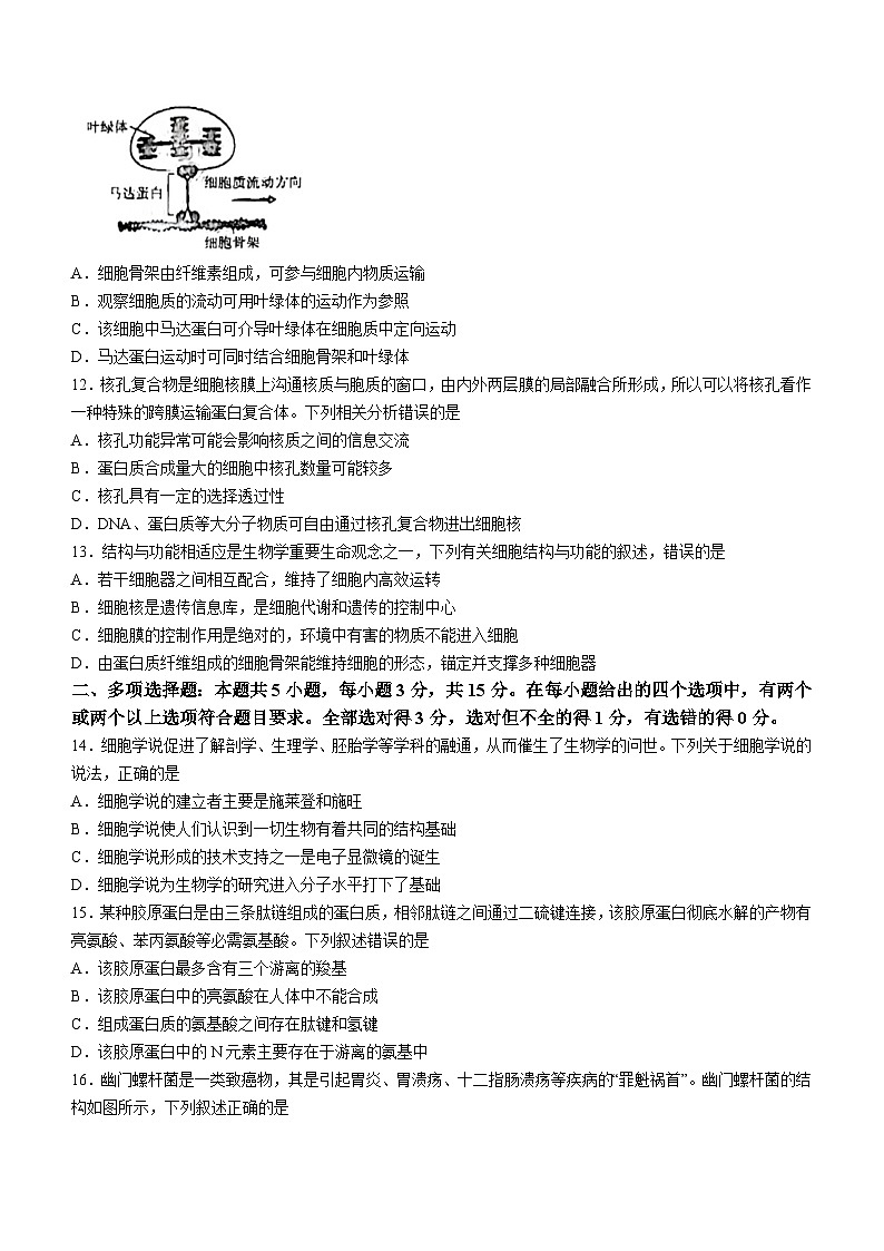 河北省沧衡八校联盟2023-2024学年高一上学期11月期中生物试题（Word版附答案）03