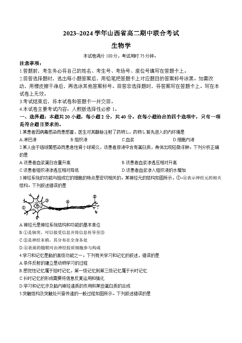 山西省2023-2024学年高二上学期11月期中生物试题（Word版附答案）01