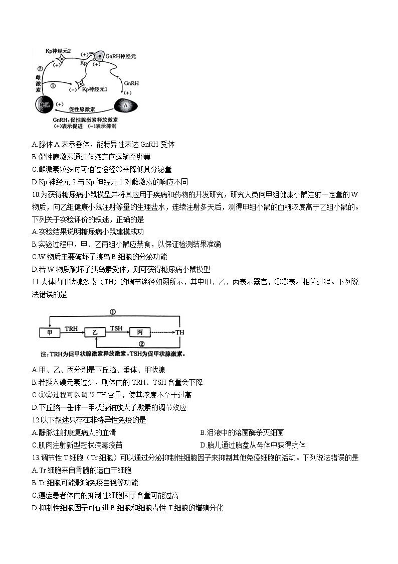 山西省2023-2024学年高二上学期11月期中生物试题（Word版附答案）03