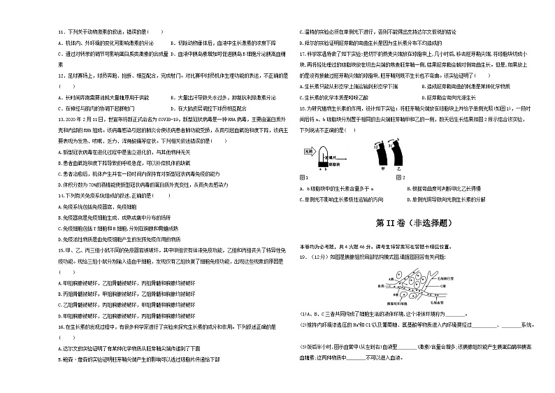 陕西省西安市蓝田县乡镇高中联考2023-2024学年高二上学期期中生物试题（Word版附答案）第2页