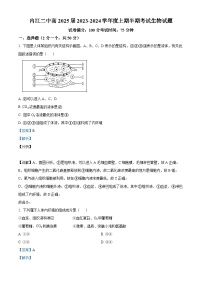 四川省内江市第二中学2023-2024学年高二上学期期中生物试题（Word版附解析）