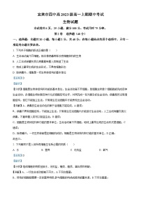 四川省宜宾市第四中学2023-2024学年高一期中生物试题（Word版附解析）