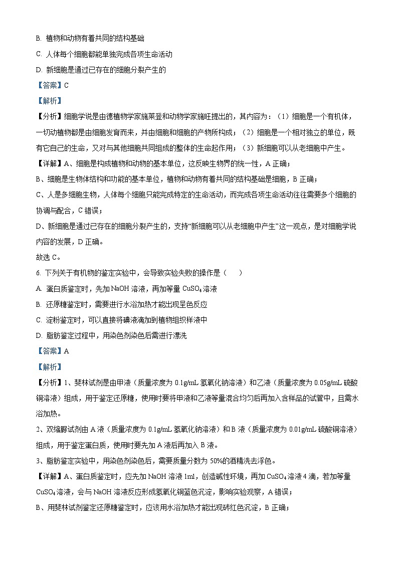 四川省宜宾市第四中学2023-2024学年高一期中生物试题（Word版附解析）03