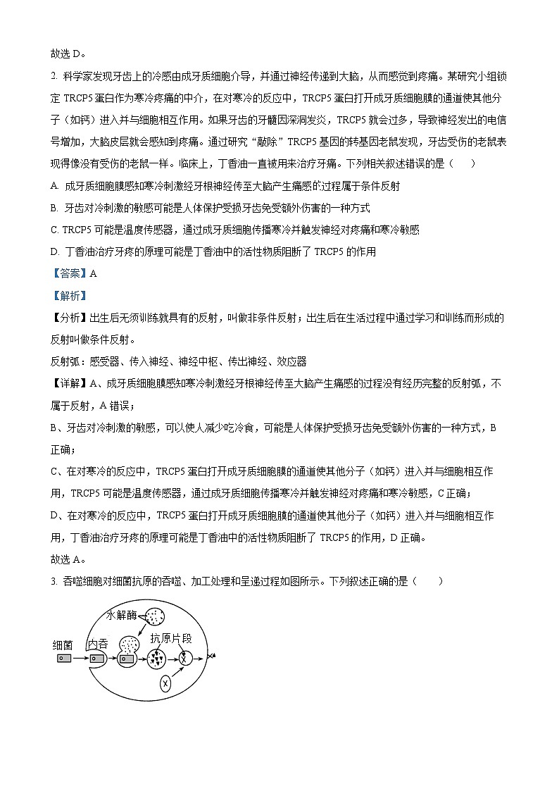 四川省遂宁市射洪中学2023-2024学年高二上学期11月月考生物试题（Word版附解析）第2页