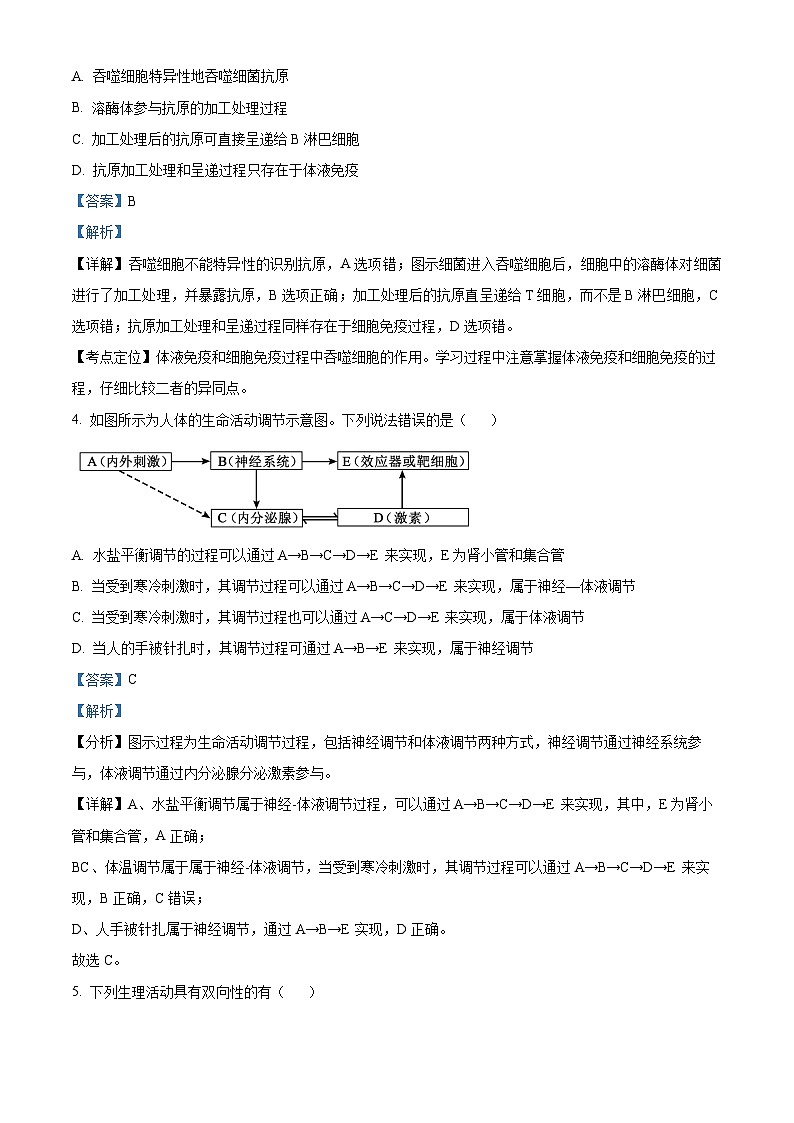 四川省遂宁市射洪中学2023-2024学年高二上学期11月月考生物试题（Word版附解析）第3页