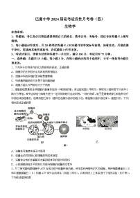 重庆市巴蜀中学2023-2024学年高三上学期适应性月考（四）（期中）生物试题（Word版附解析）