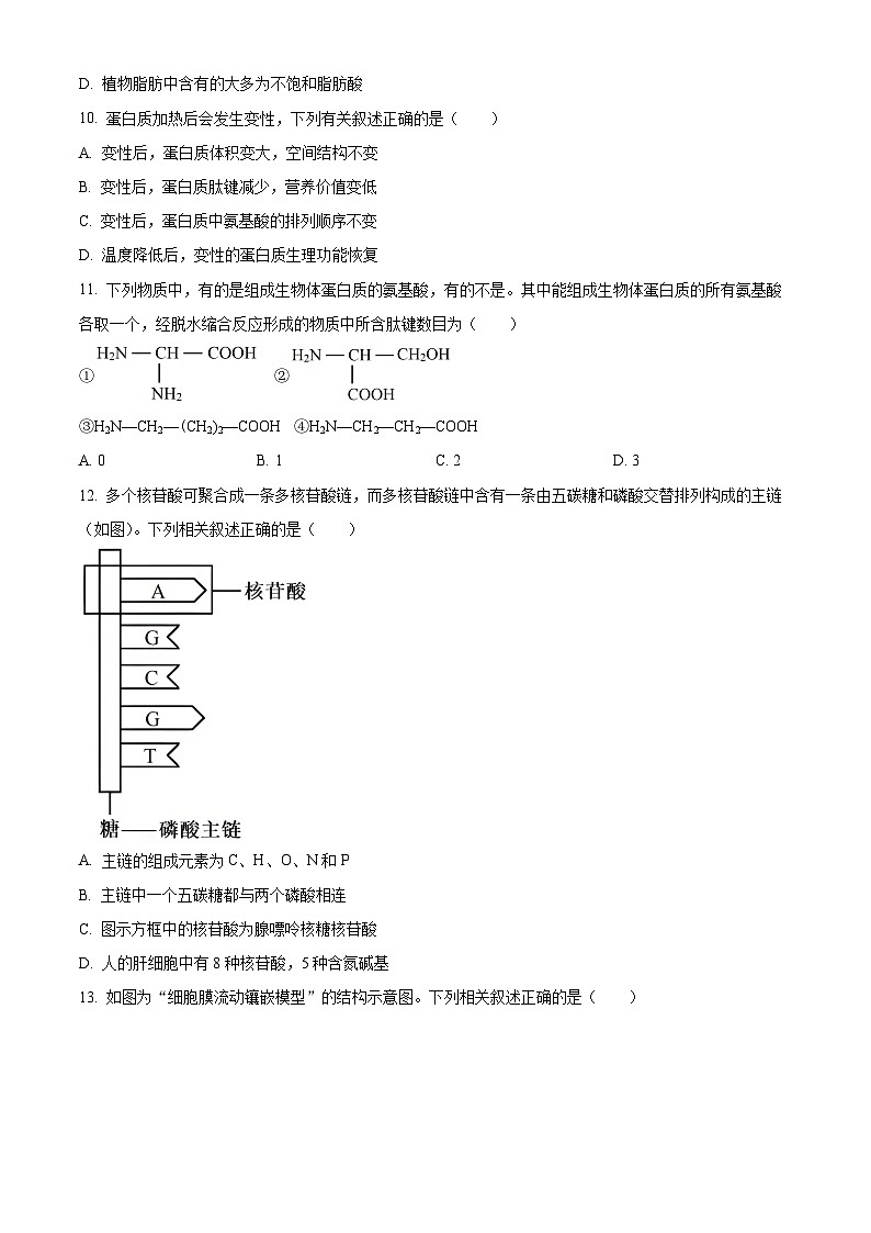 安徽省合肥市第一中学2023-2024学年高一上学期期中生物试题（Word版附解析）03