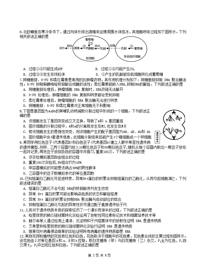 浙江省余姚中学2023-2024学年高二上学期期中考试生物试题02