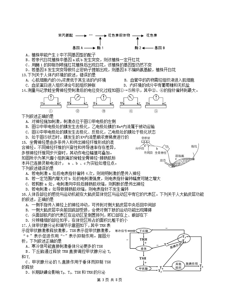 浙江省余姚中学2023-2024学年高二上学期期中考试生物试题03