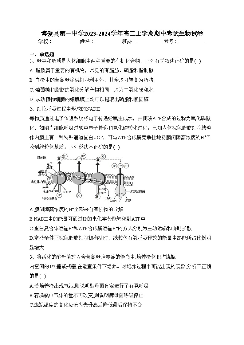 博爱县第一中学2023-2024学年高二上学期期中考试生物试卷(含答案)第1页