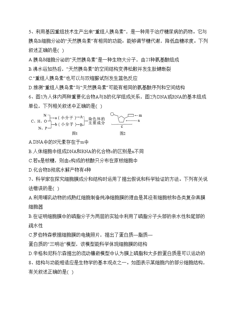 湖南省湖湘名校2023-2024学年高一上学期11月期中联考生物试卷(含答案)02