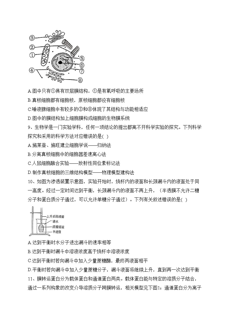 湖南省湖湘名校2023-2024学年高一上学期11月期中联考生物试卷(含答案)03