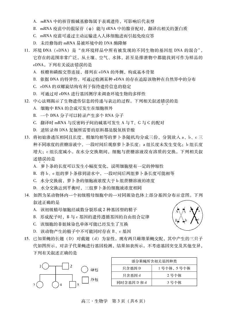2024肇庆高三上学期第一次教学质量检测生物PDF版含答案03