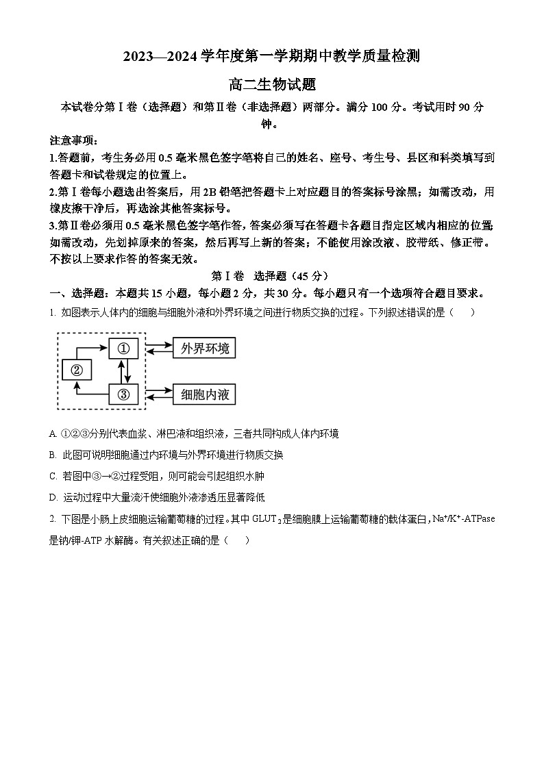2024聊城高二上学期11月期中考试生物含解析01