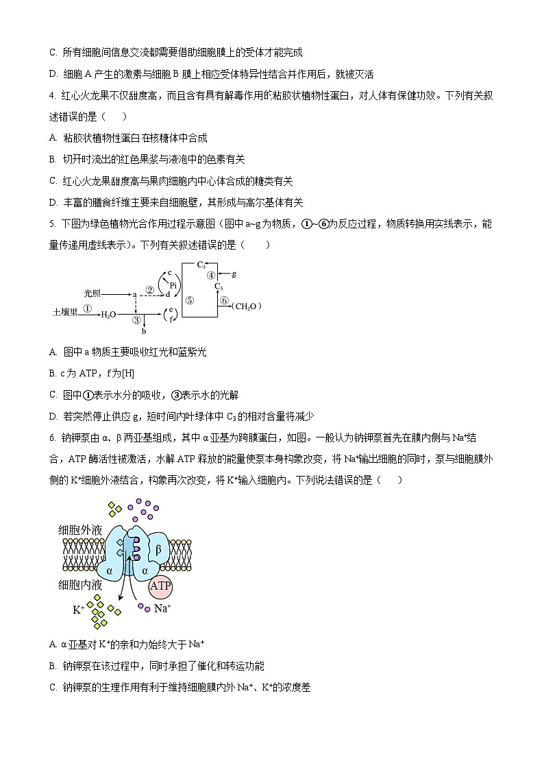 2024南充高级中学高二上学期期中考试生物含解析第2页
