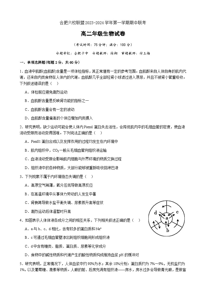 安徽省合肥六校联盟2023-2024学年高二上学期期中考试生物试题第1页