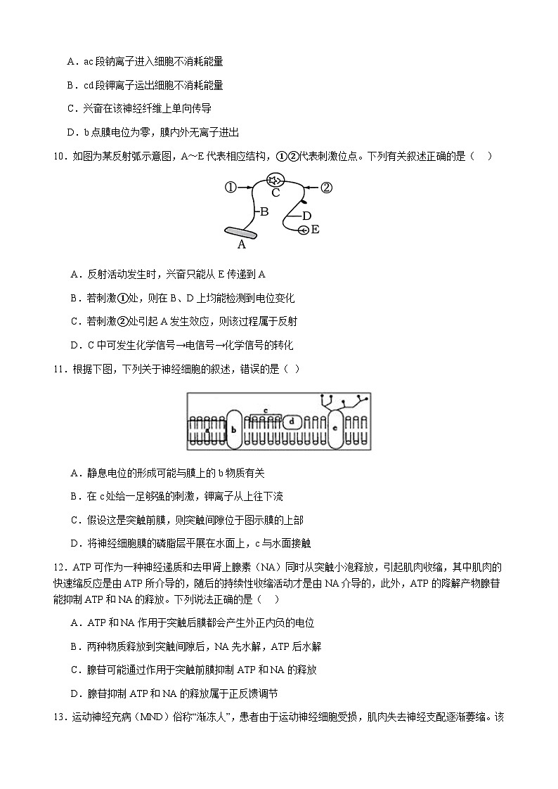 安徽省合肥六校联盟2023-2024学年高二上学期期中考试生物试题第3页