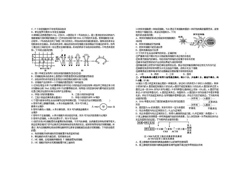 2024宜春上高二中高二上学期第三次月考试题生物含答案第2页