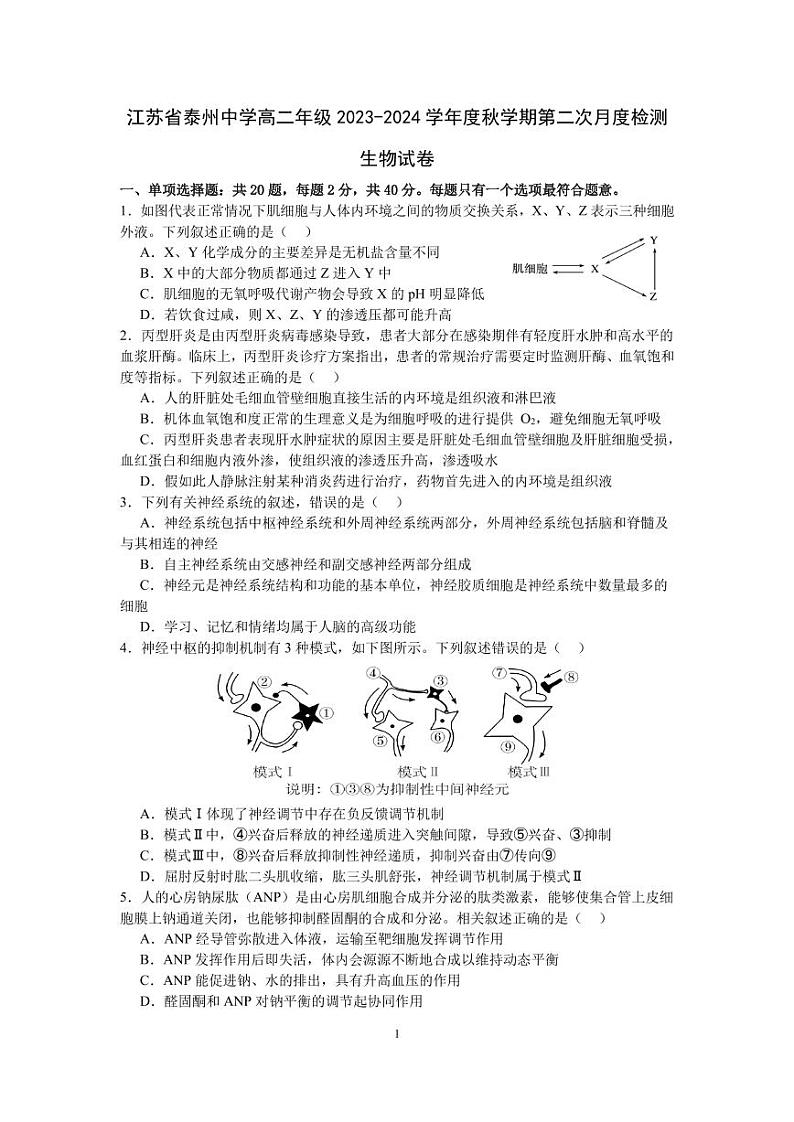 2024泰州中学高二上学期第二次月考生物试卷PDF版含答案01