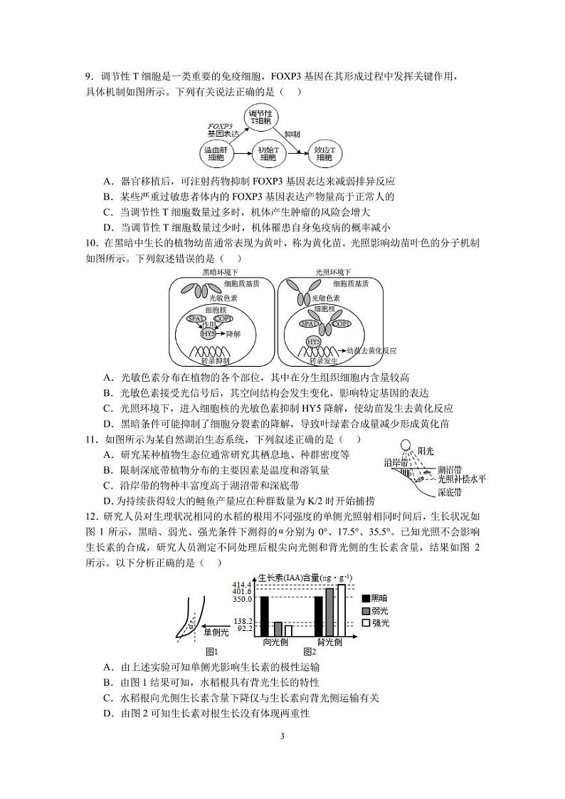 2024泰州中学高二上学期第二次月考生物试卷PDF版含答案03