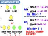 人教版高中生物必修二1.2孟德尔的豌豆杂交实验（二）课件+同步分层练习（含答案解析）