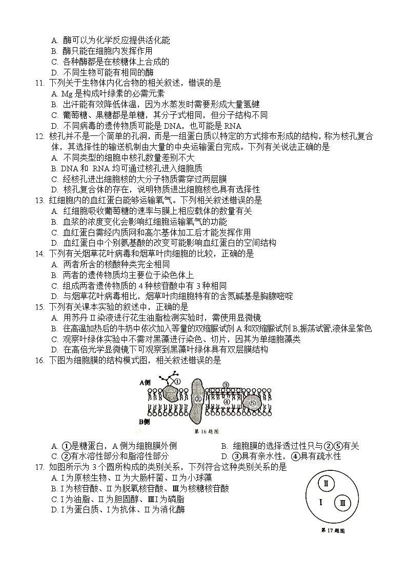 浙江省91高中联盟2023-2024学年高一上学期11月期中生物试题（Word版附答案）第2页