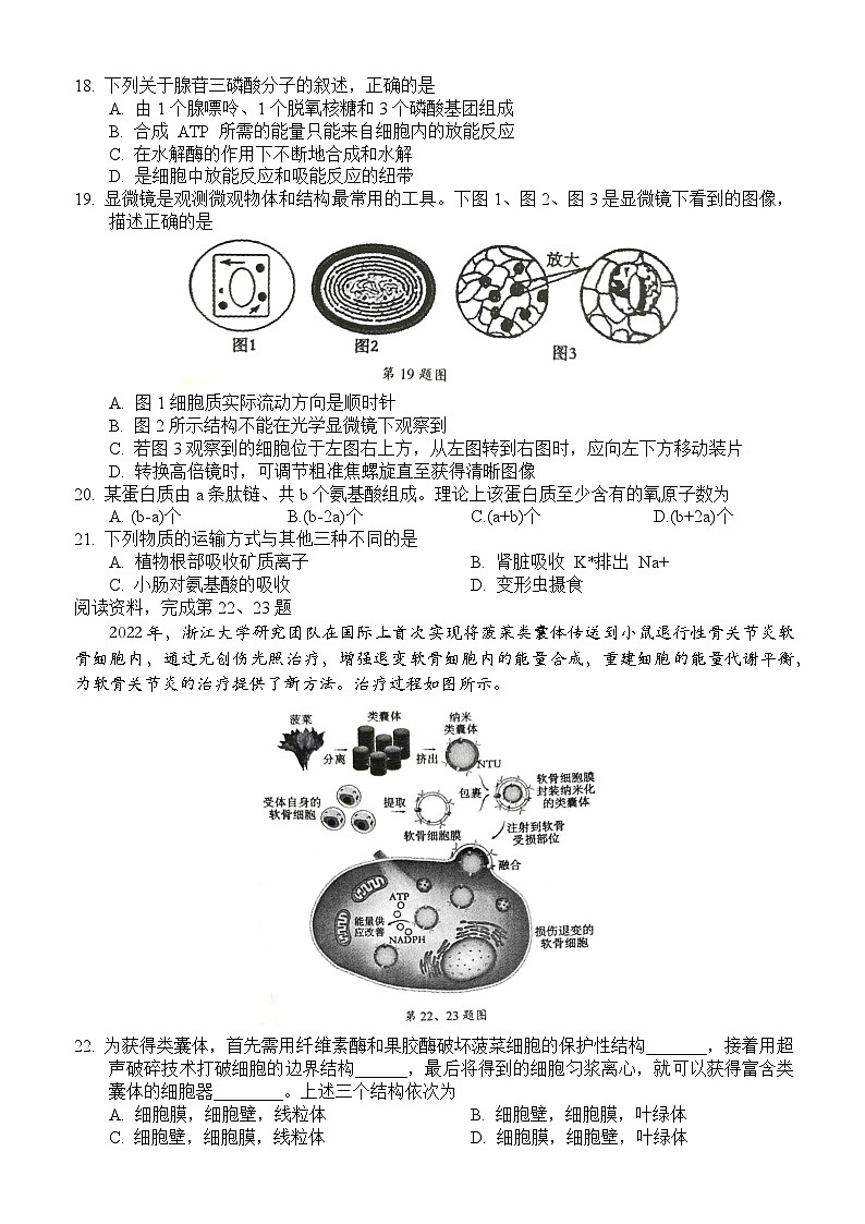 浙江省91高中联盟2023-2024学年高一上学期11月期中生物试题（Word版附答案）第3页