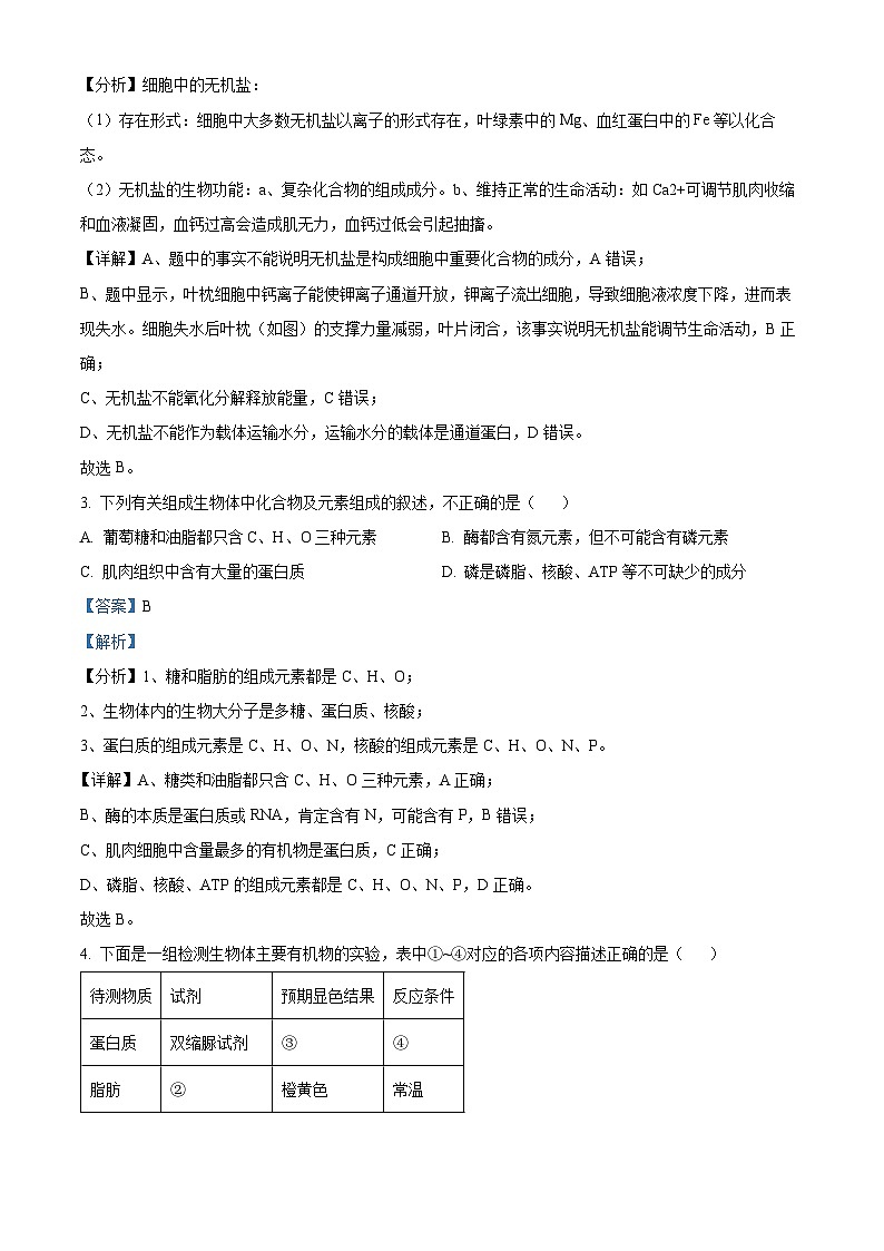 浙江省杭州市北斗联盟2023-2024学年高一上学期期中联考生物试题（Word版附解析）02
