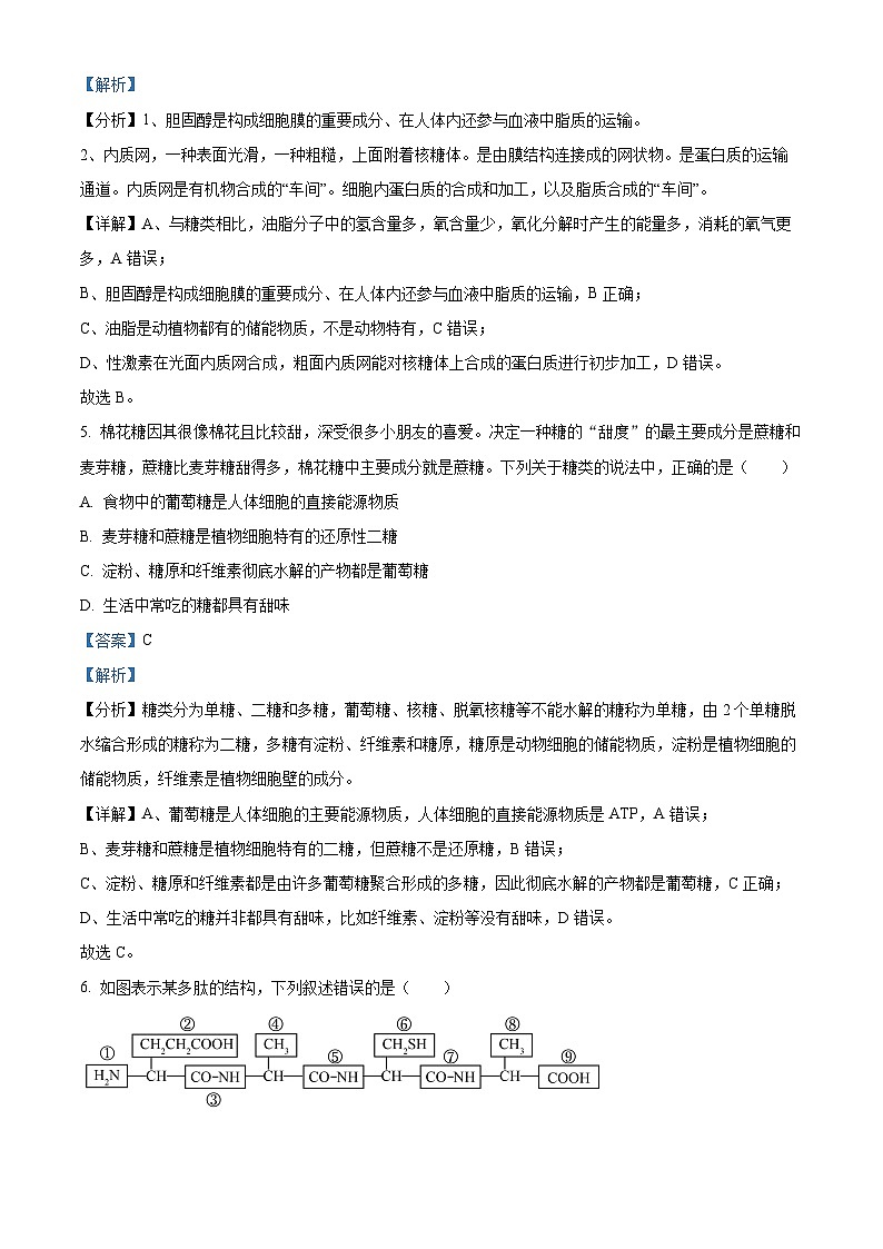 浙江省杭州市六县九校联盟2023-2024学年高一上学期期中联考生物试题（Word版附解析）03