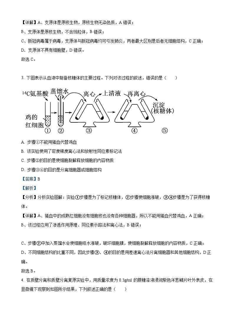 浙江省杭州市师范大学附中2023-2024学年高二上学期期中生物试题（Word版附解析）第2页