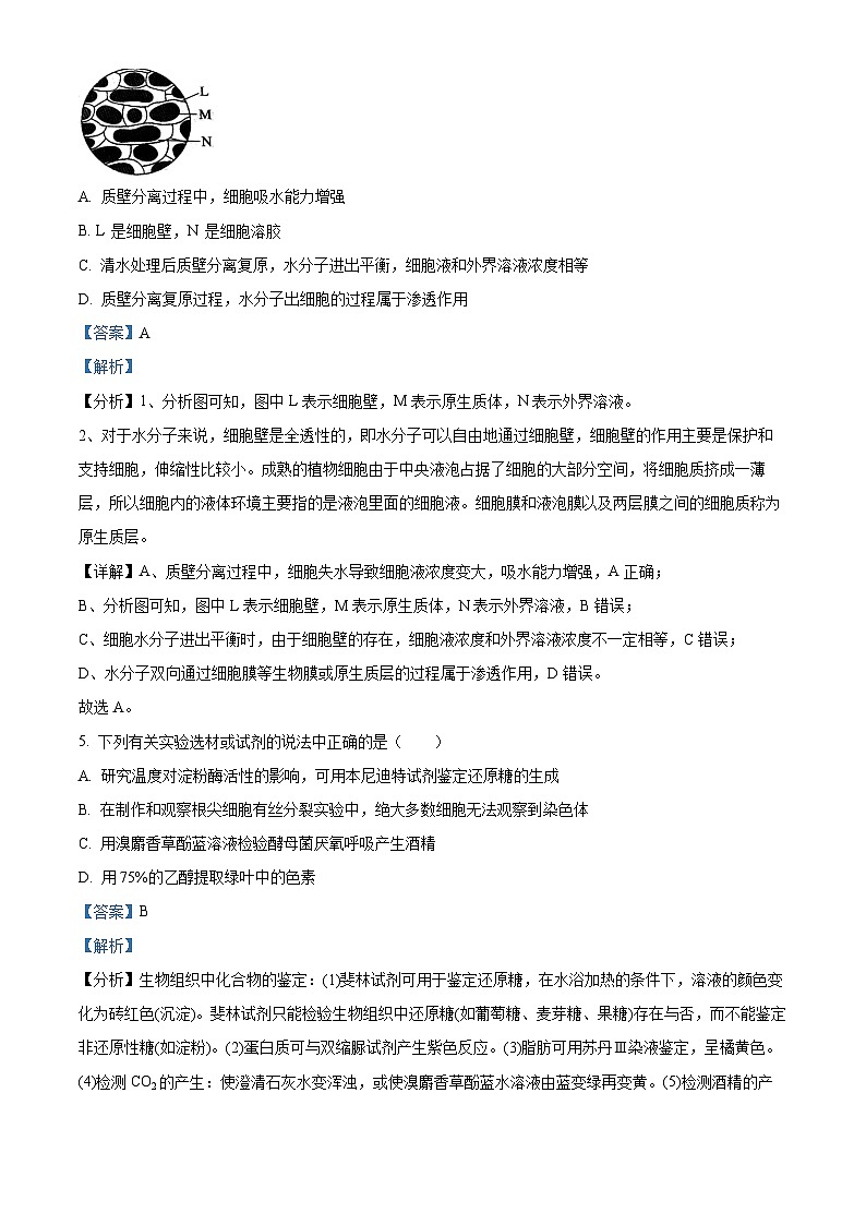 浙江省杭州市师范大学附中2023-2024学年高二上学期期中生物试题（Word版附解析）第3页
