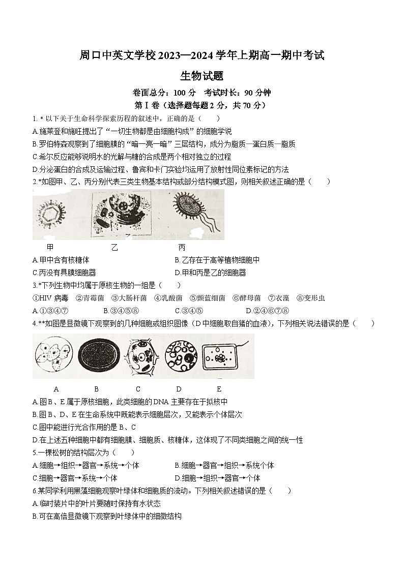 河南省周口中英文学校2023-2024学年高一上学期期中生物试题01